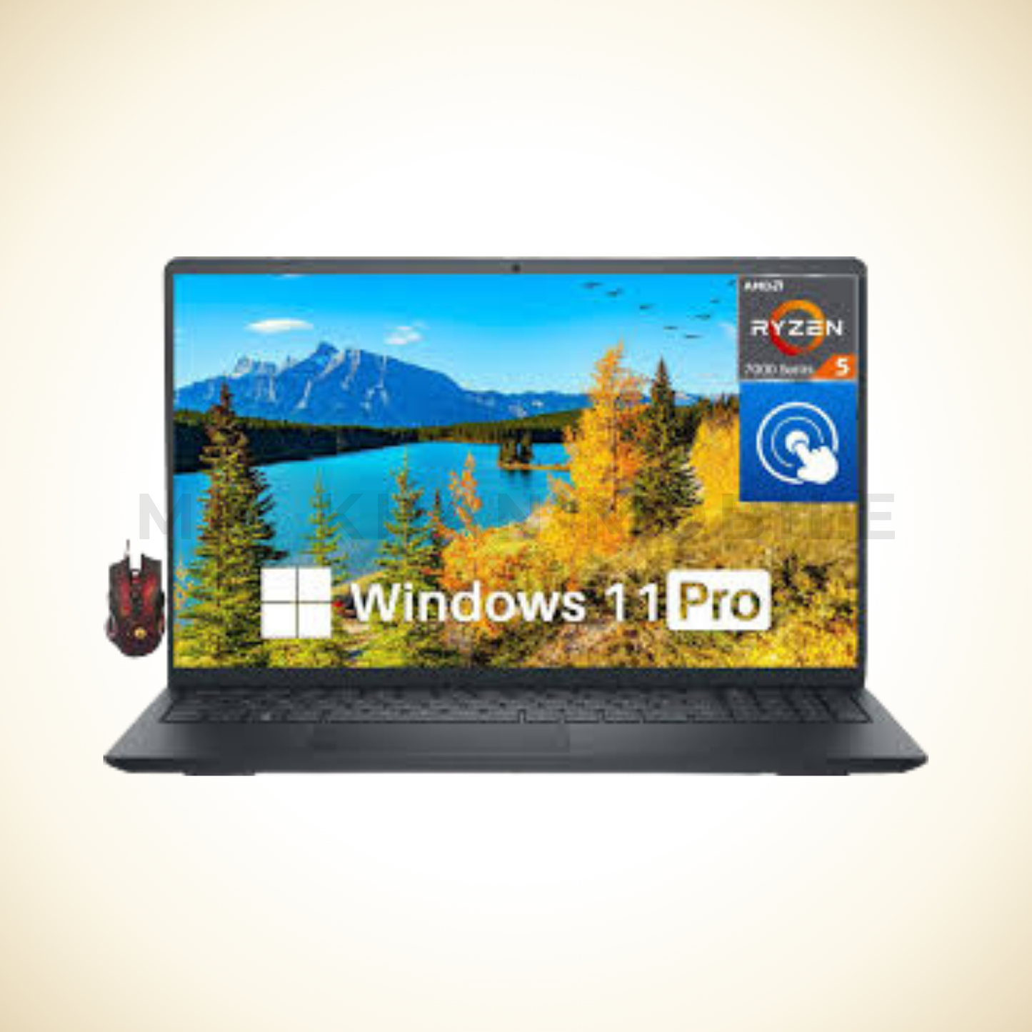 Dell Inspiron 15 3535 Ryzen 5 8GB RAM 512GB SSD Windows 11