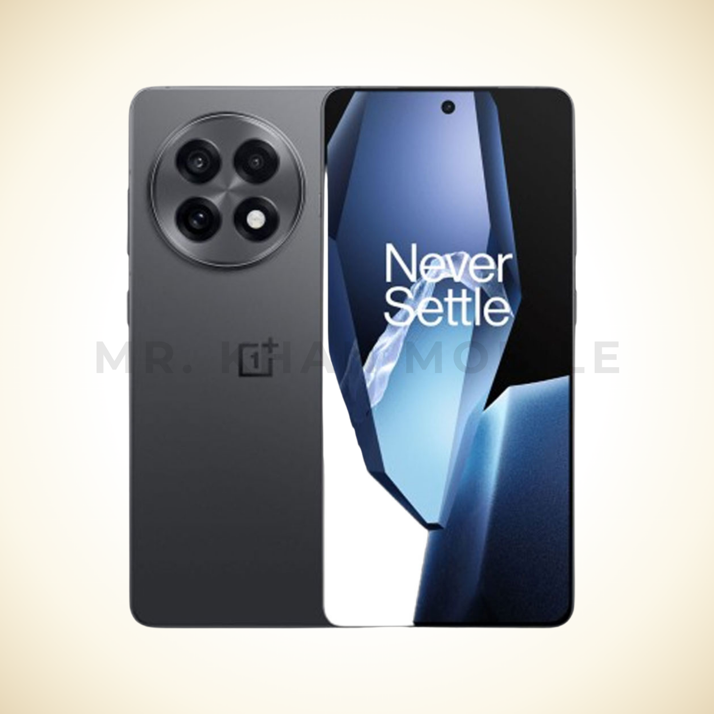 OnePlus 13R (12GB + 256GB)